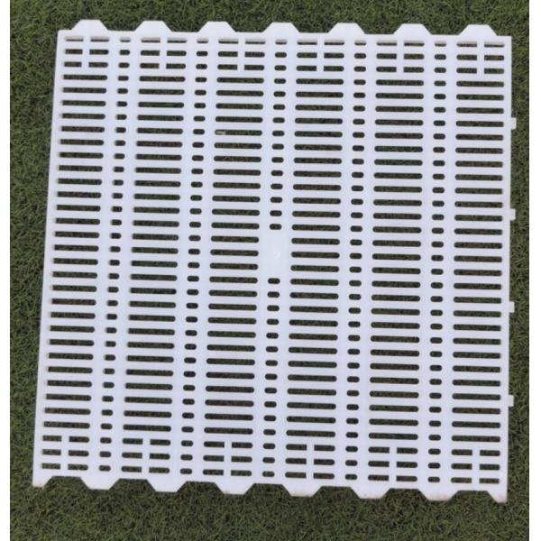 Farming PSF-01 Goat Plastic Slat Floor Poultry Goat 700mm