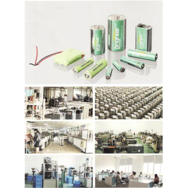 LR03P2B/97 Alkaline AAA Battery LR03 1.5V Dry Cell Battery OEM And ODM