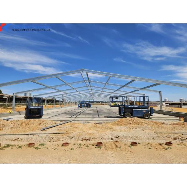 Fast Build Steel Structure Poultry Shed Construction Customized