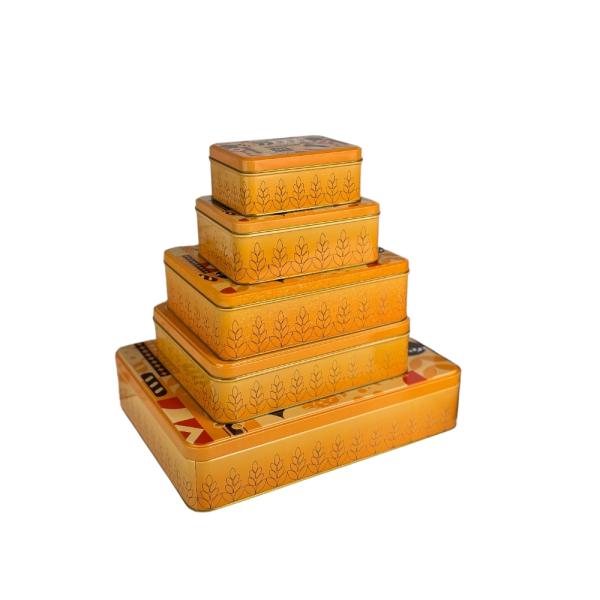 DADI Silkscreen Laser Embossing Rectangular Tin Can Custom Printed Biscuit Tin Box