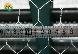 China Poultry Farms Fence Hex Wire Mesh Stainless Steel Aperture 1/2 Inch on sale