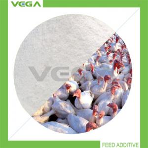 China Veterinary Products Florfenicol 20% Premix on sale