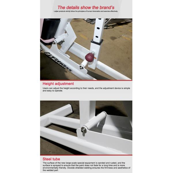 Lady Gym Fitness Equipment Pink Cushion Multi - Adjustable Bench