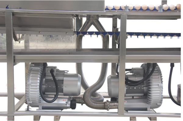 Sanitizer Sprayer Egg Washing Drying Machine With 3000 Eggs/Hour Capacity