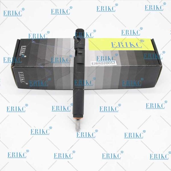 EJBR02001Z Diesel Fuel Injector EJB R02001Z Common Rail Injector EJBR0 2001Z For Delp