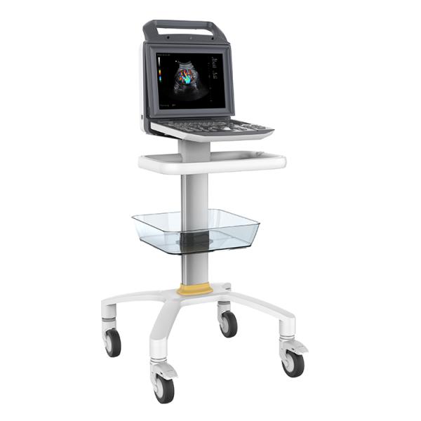 Portable Full Digital Color Doppler Ultrasound System Medical Scanner Ultrasound