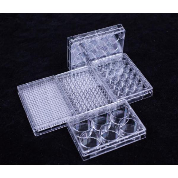 Disposable TCT 24 Well Cell Culture Plate For Laboratory Chemistry