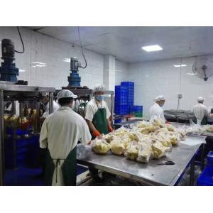 800KG/H Mesh Belt Tunnel Freezer