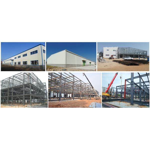 High Strength Light Steel Farm Sheds For Cattle Prefabricated Design 9406900090