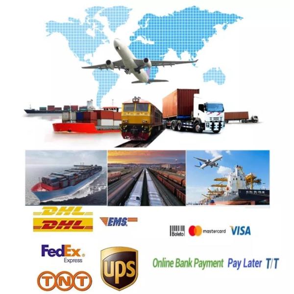 Bidirectional Needle Roller Bearing HK1816 Full Solid Ferrule SS Outer Hexagon Kneed