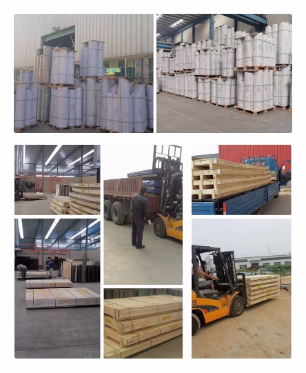 Black Fly Screen Insect Net Window Transparent Screen