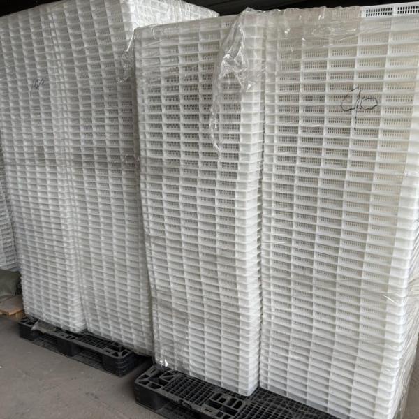 Customizable Food Grade Plastic Vented Tray For Freezing Storage Drying Stacking Fruit Seafood