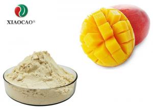 Spray Freeze Dried Powder Mango Juice Powder For Food Beverages Industry