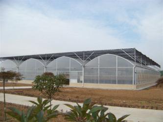 Anhui Reiz Greenhouse Tech.Co., Ltd.