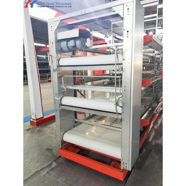 Fully Automated Broiler Chicken Cage System For Philippines Poultry Farming