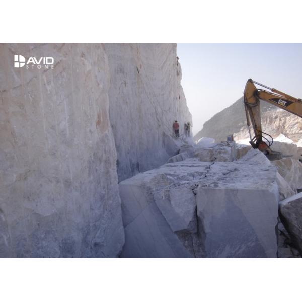 White Marble Stone Slab With Gray Patterns For Countertops / Floors