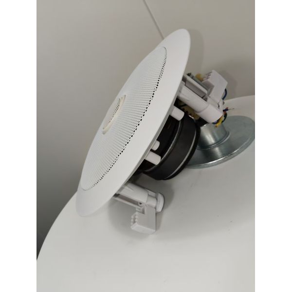 5 Inch Coaxial Speaker 20W Economic Ceiling Speaker Flush Mount