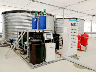 Electrical Control Mushroom Growing Greenhouse With Hot Galvanizing Pipe Structure