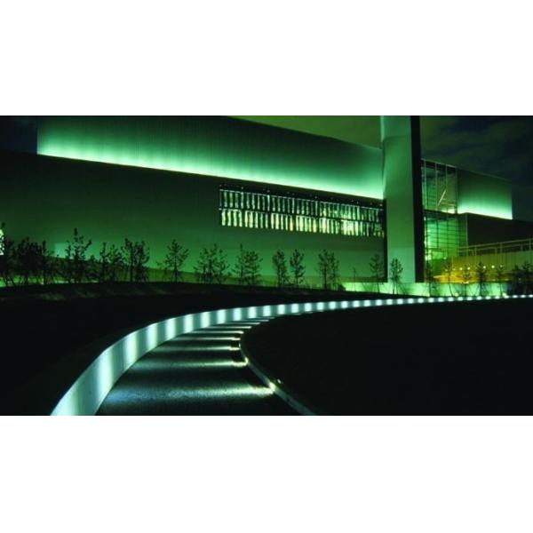 Flexible strip light 30leds/m