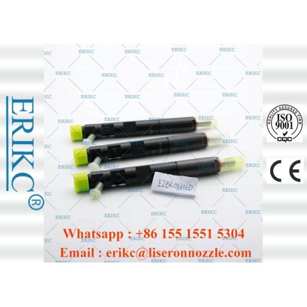 EJBR05301D For Delp Injectors Common Rail Injector For Delp F50001112100011