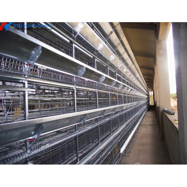 H Type Chicken Layer Cage Hot Dip Galvanized Steel 3 Tier Poultry Cage