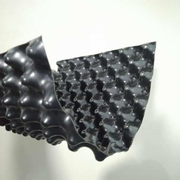 30mm Height Double Side Dimpled HDPE Drainage Cell Sheet for Modern Green Roof Design