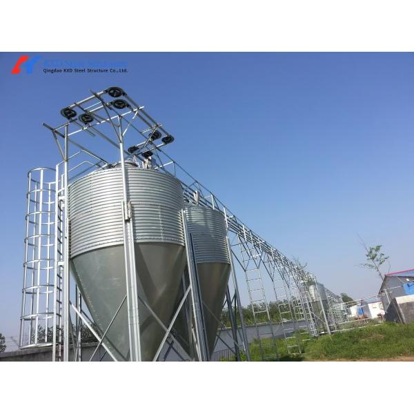 Custom Piggery Shed Light Steel Structure Cow Shed With Automatic Euipment