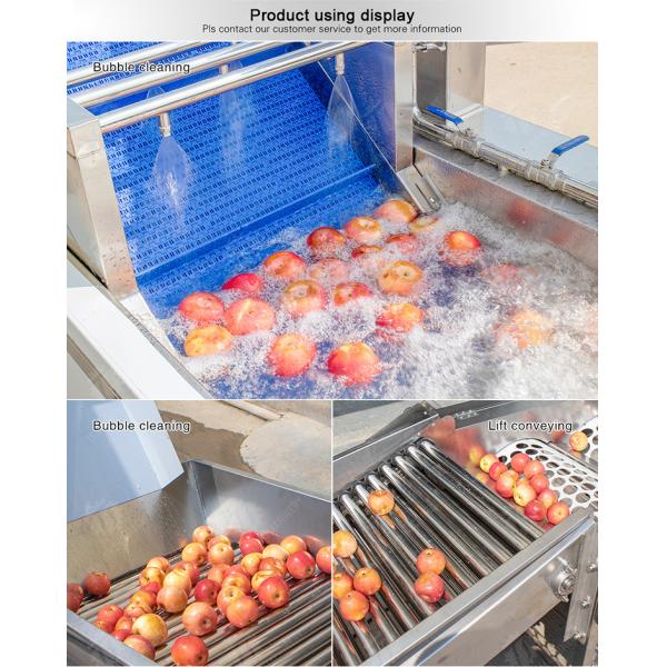 Fruit bubble washing and sorting production line Fruit Vegetable FOOD processing production Machine