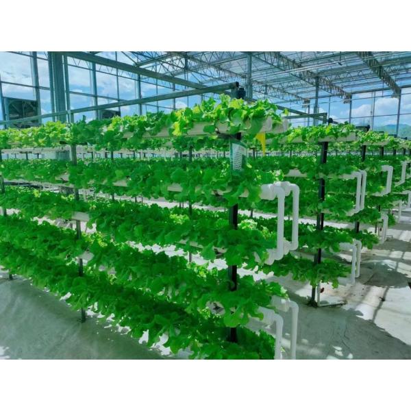 Hydroponic Container Greenhouse Juxiang 40hq
