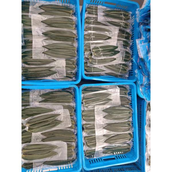 Wholesale Natural Sushi Fresh Bamboo Leaf Leaves