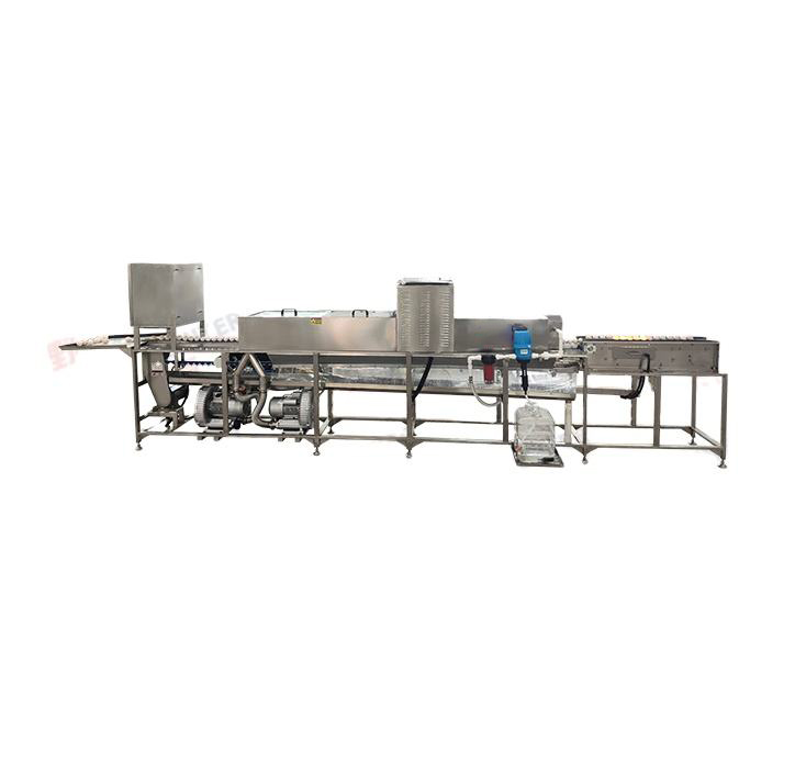 Sanitizer Sprayer Egg Washing Drying Machine With 3000 Eggs/Hour Capacity