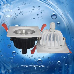 10W Waterproof/ bathroom IP65 10W interchangable bezel fire rated LED downlight