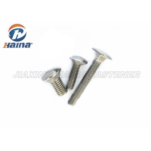 SS304 M8 Full Thread Square Neck Bolts 50mm Length carriage bolts
