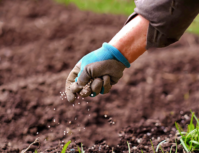 Agricultural NPK Compound Fertilizer Improve Yield High Efficiency