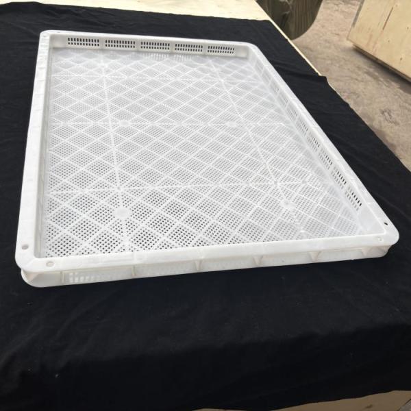 Customizable Food Grade Plastic Vented Tray For Freezing Storage Drying Stacking Fruit Seafood