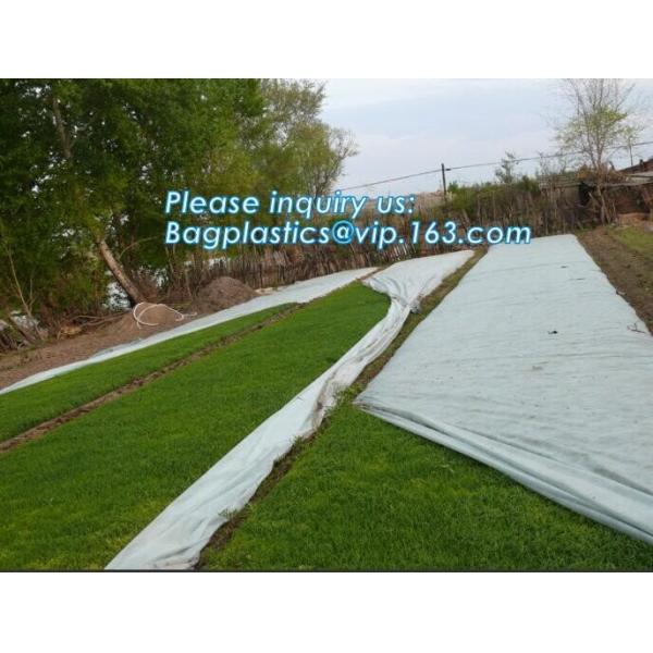Non-Woven Vegetation Antifreeze Plant Drawstring Shrub Cold Jacket Garden Protection Bag Winter Tree Protective Cover