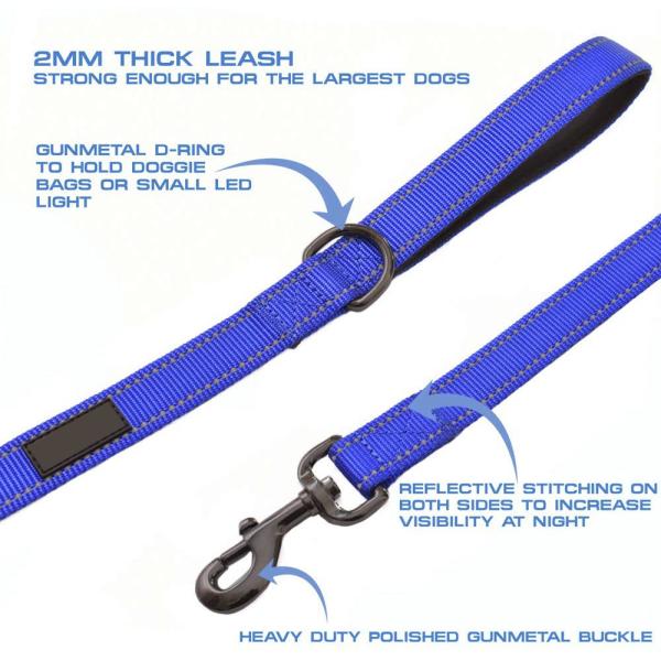 Double Handle Reflective Nylon Dog Leash