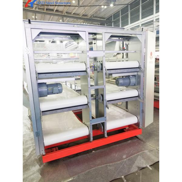 Fully Automated Broiler Chicken Cage System For Philippines Poultry Farming