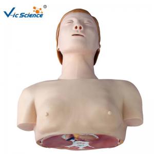 China Electronic Half Body CPR Training Manikins Male Female Cpr Prompt Manikins VIC-404A / 404B on sale