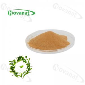 China 100% Natural Extract Green Tea L-Theanine 20% / 30% / 40% Natural L-Theanine on sale