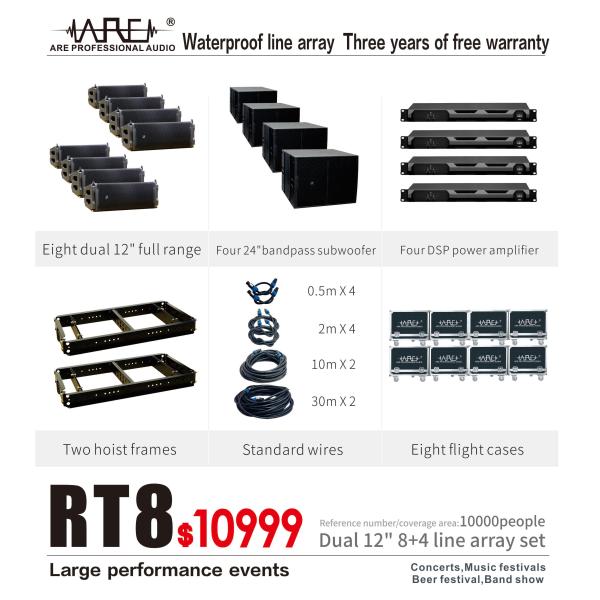 ARE AUDIO dual 12 inch passive outdoor line array speaker system for large events