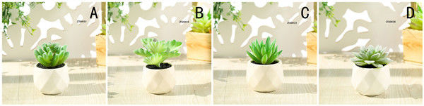 Mini Succulent Artificial Potted Plants Strange Shape Green Platsic Material