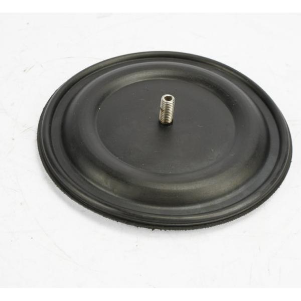 Electrical Insulation Mini PTFE Diaphragm For Metering Pump diaphragm dosing pump