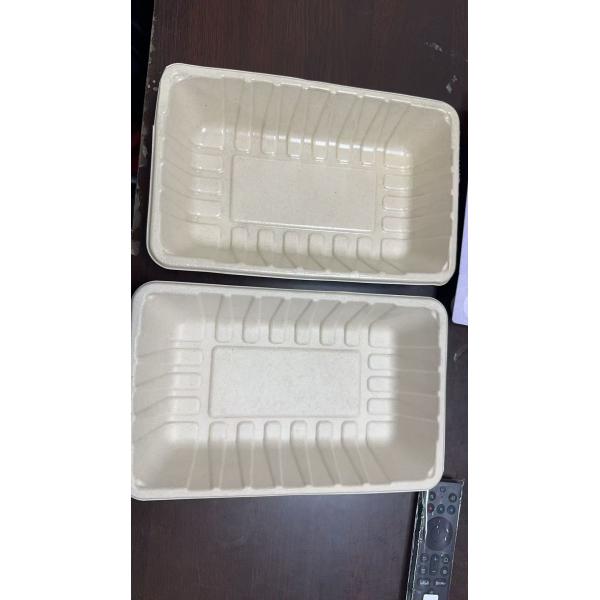 Internal coating application on pulp molded tableware showing uniform coverage