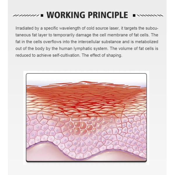 laser working principle