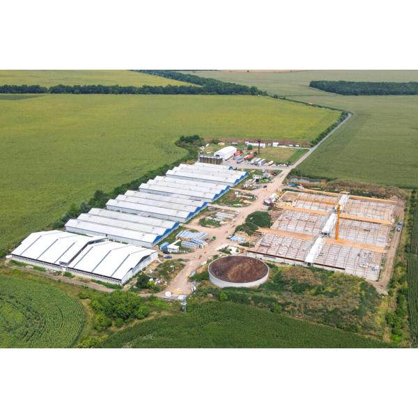 Cowshed Prefabricated with Light Steel Structure Frame and ISO9001 2008/CE/BV Certified