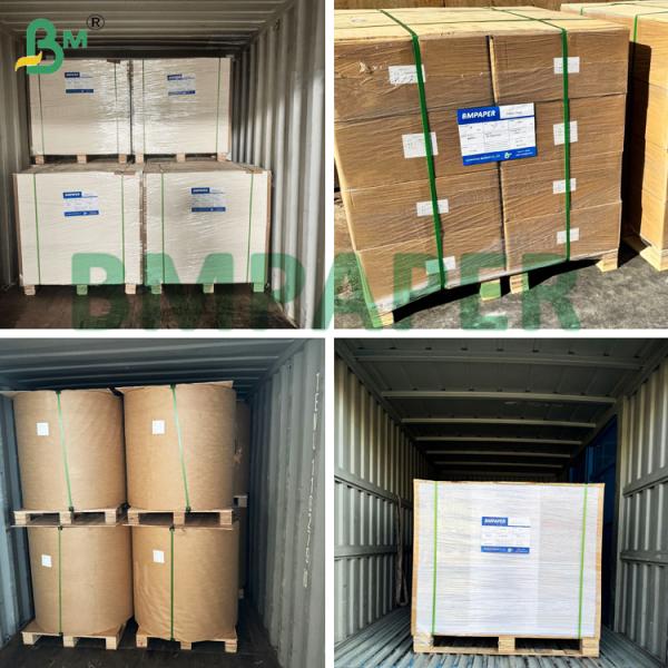 200g 250g Moistureproof White Top Coated Kraft Coard For Frozen Product Packaging