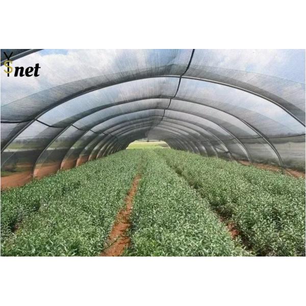 Waterproof Plastic Agro Shade Net Anti Hail Black Shade Cloth For Greenhouse