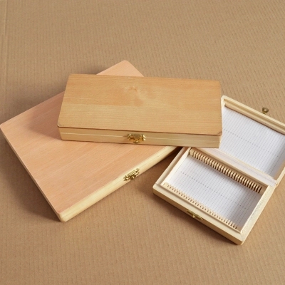 Glass 12pcs Onion Meiosis Prepared Botany Slides For School Research