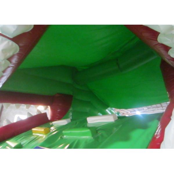 Crocodile cartoon themed inflatable water slide with big water pool big inflatable crocodile water pool slide